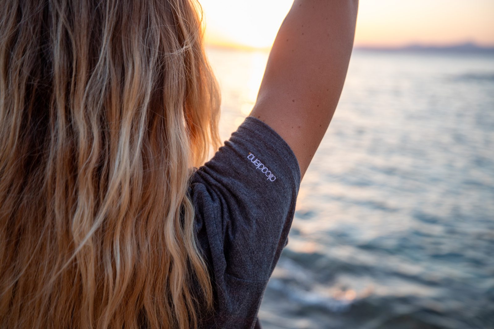 Back view of a grey Alcadena tee at sunset over the sea