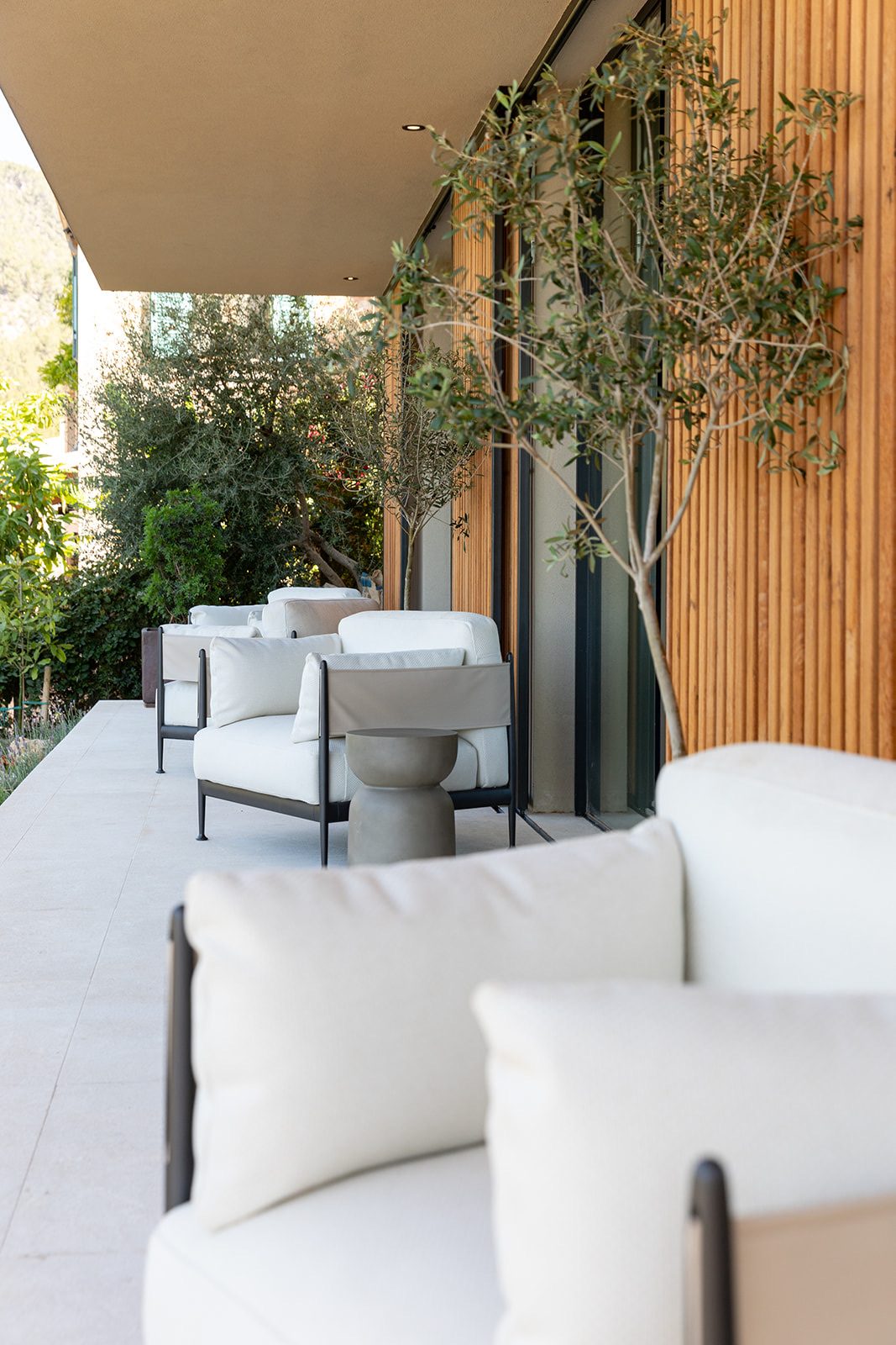 Covered terrace with white-cushioned lounge chairs, an olive tree and a timber-slat facade